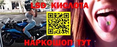 альфа пвп Заводоуковск