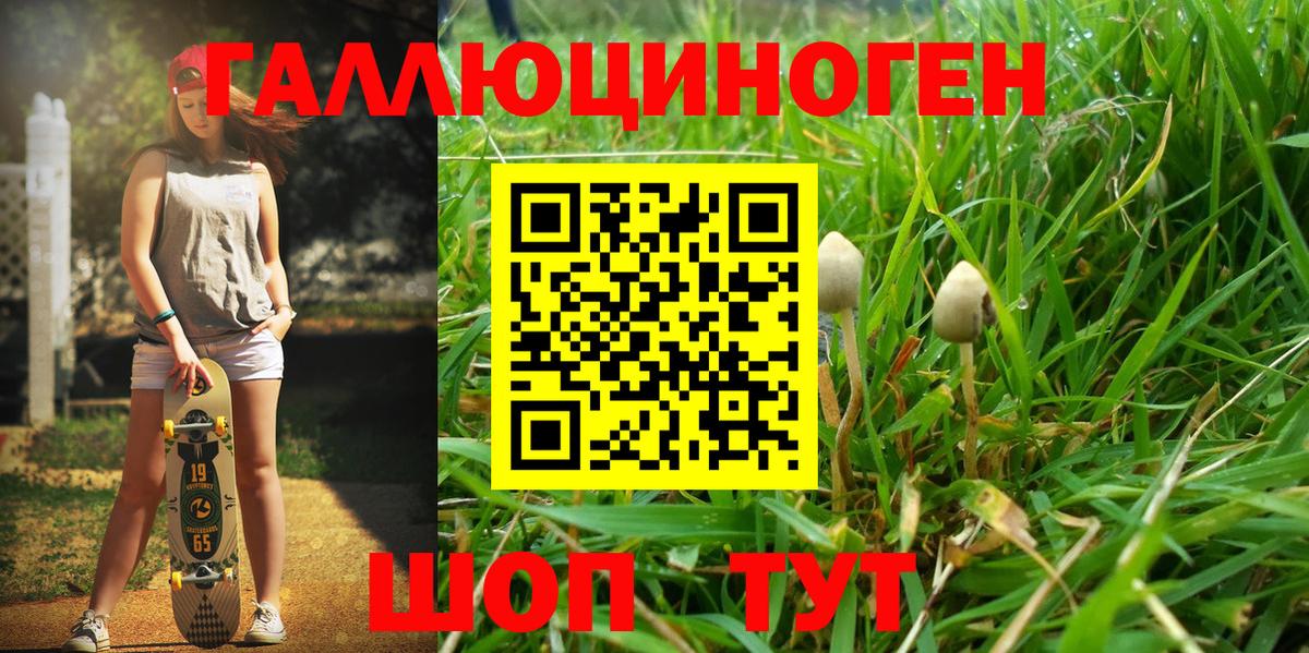 Псилоцибиновые грибы Psilocybine cubensis Людиново