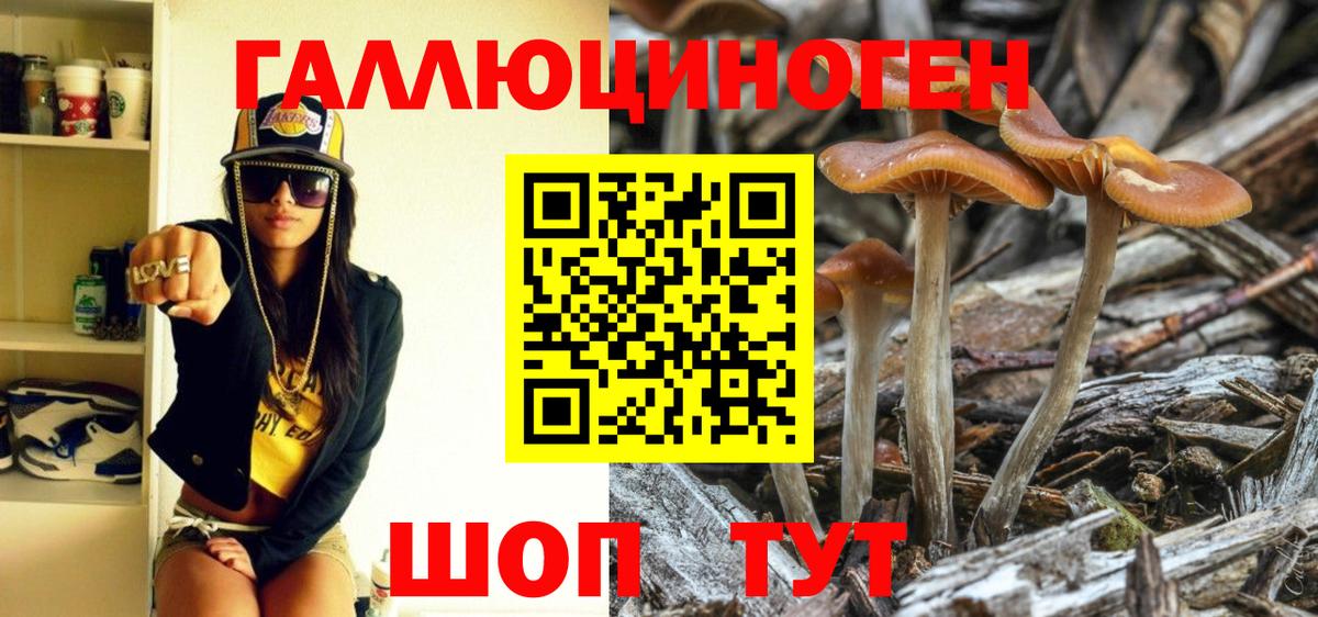 Псилоцибиновые грибы Psilocybe  Псилоцибиновые грибы прущие грибы  Вход с VPN  купить наркоту  Людиново 