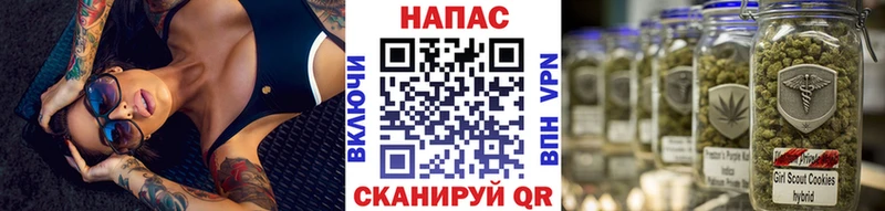 цена   площадка официальный сайт  Конопля MAZAR  Людиново 