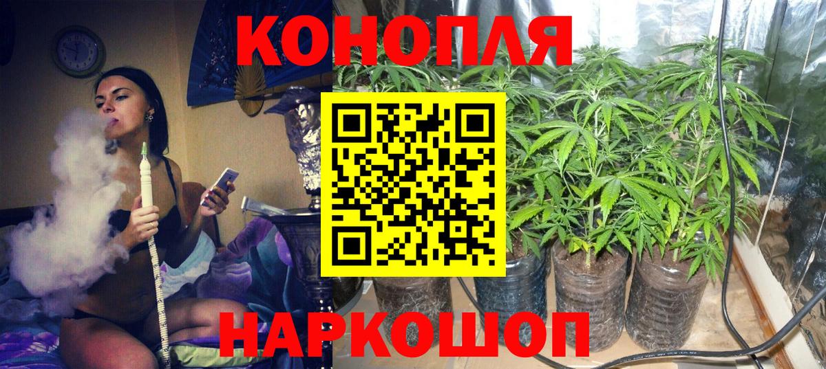 Людиново  Марихуана марихуана  Шишки марихуана гибрид  Вход с VPN  Каннабис марихуана 