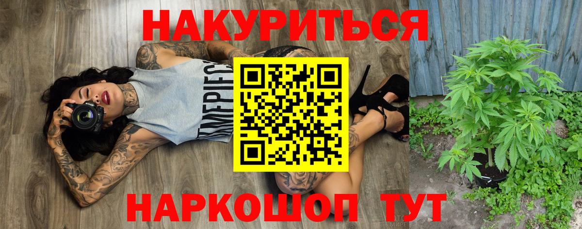 Конопля сатива Людиново